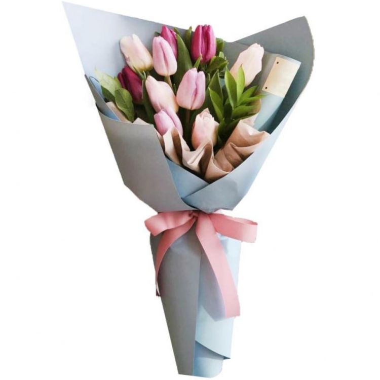 Вероника от 3 580 руб.